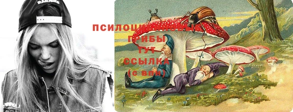 спиды Алексин