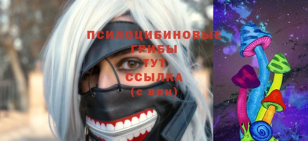 ECSTASY Алексеевка