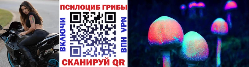 Галлюциногенные грибы Psilocybe  Волжский 